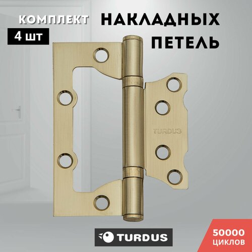 Петли для дверей накладные золото матовое комплект 4 шт TURDUS 100*75*2,0 2ВВ SB