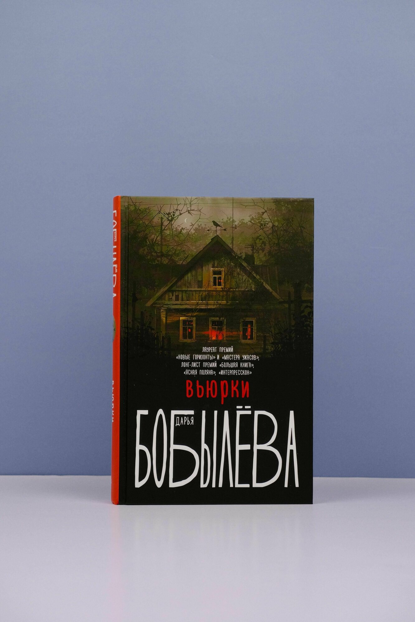 Вьюрки (Бобылева Дарья Леонидовна) - фото №7