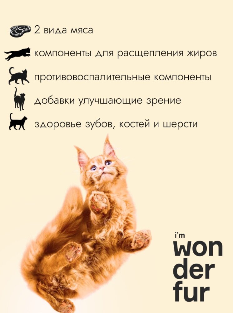 Сухой корм для стерилизованных кошек и кастрированных котов супер-премиум класса с телятиной и индейкой WONDERFUR, 2 кг — фото 1