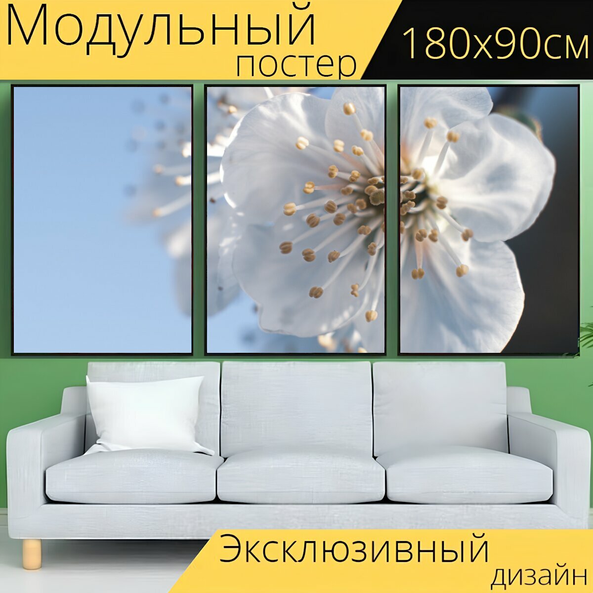 Модульный постер "Цветы, белые цветки, блум" 180 x 90 см. для интерьера