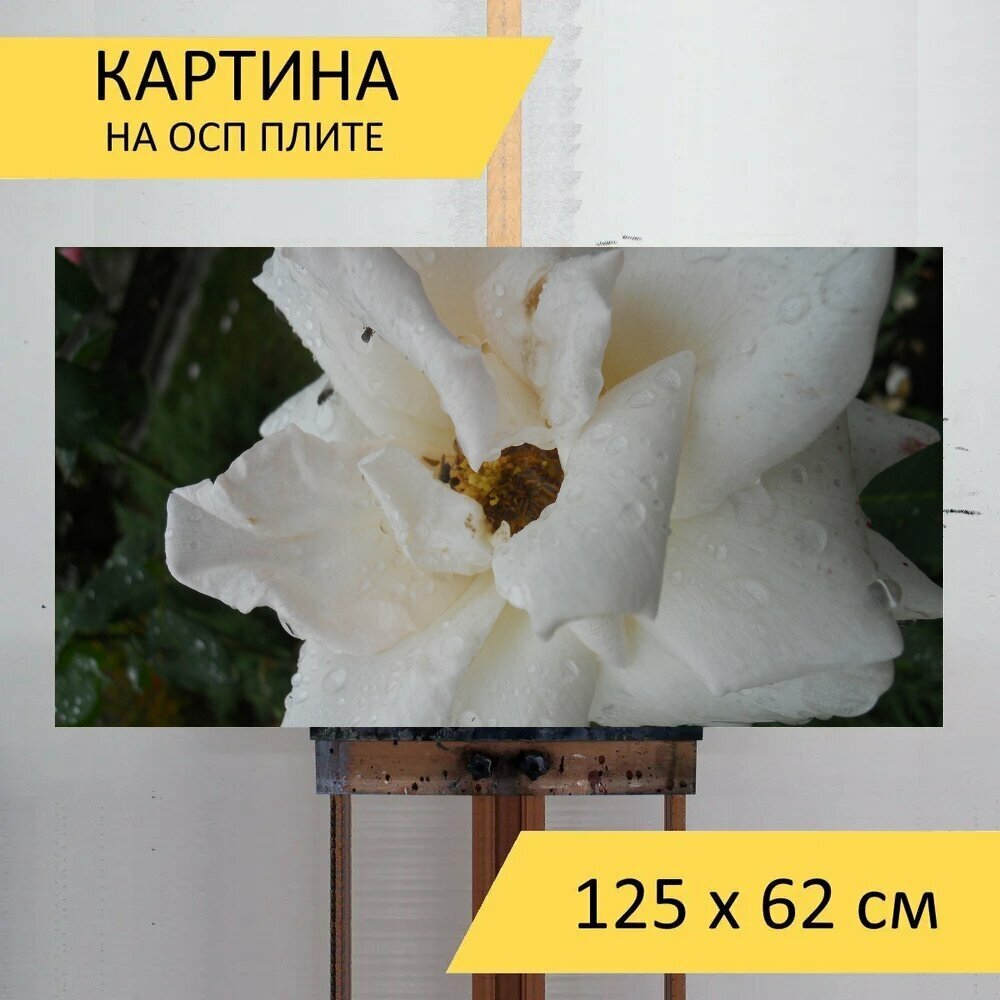 Картина на ОСП 125х62 см. "Цветы, розы, блум" горизонтальная, для интерьера, с креплениями