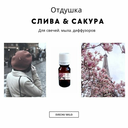 Отдушка Слива & Сакура 100 мл для изготовления свечей, мыла и диффузоров ароматическое масло 8 sweet fig инжир малина черная смородина слива 50 мл отдушка для изготовления свечей мыла диффузоров