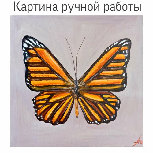 Картина с бабочкой. Авторская картина ручной работы. Бабочка маслом.