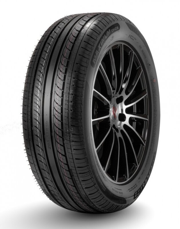 Doublestar Doublestar DH05 205/55 R16 91V