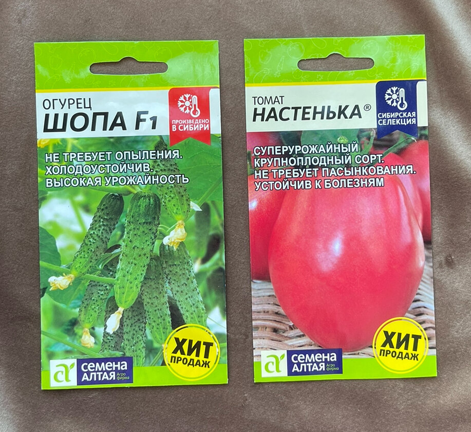 Огурец шопа отзывы фото урожайность