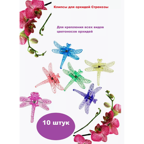 Клипса для орхидей Стрекозы (10 шт. в упаковке), держатель, поддержка, крепление и опора для цветоноса орхидеи