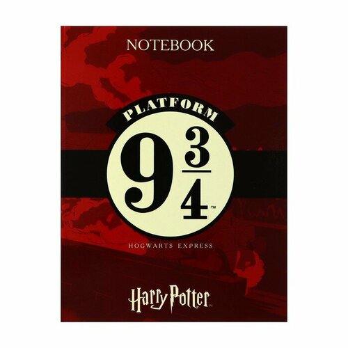 Тетрадь на 4-х кольцах А5, 120 листов клетка Гарри Поттер, твердая обложка, глянцевая ламинация, блок 60г/м2