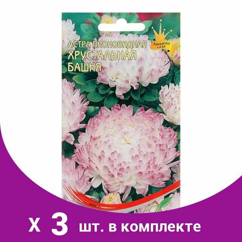 Семена цветов Астра пионовидная 'Хрустальная Башня' Дом семян, О, 80 шт (3 шт) семена цветов астра пионовидная фиолетовая башня дом семян о 85 шт