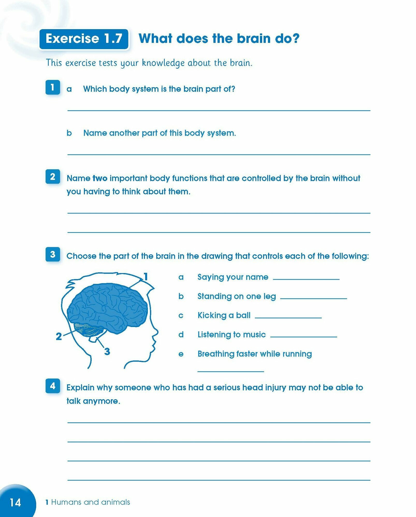 Cambridge Primary Science. Stage 6. Activity Book - фото №3