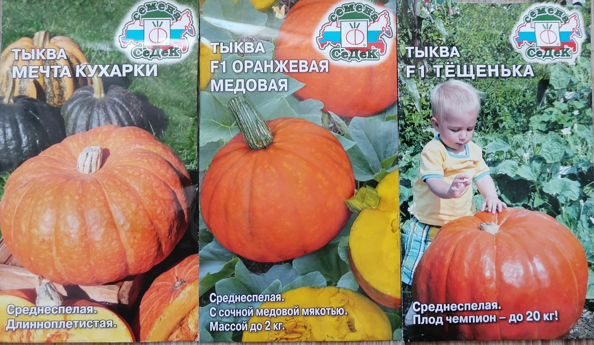 Набор из 3х сортов высокоурожайных крупноплодных тыкв (Тёщенька+Мечта кухарки+Оранжевая Медовая) от агрофирмы СеДеК
