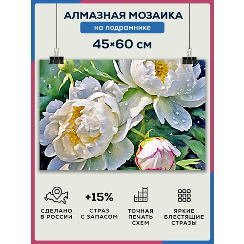 Алмазная мозаика 45x60 Белые пионы на подрамнике