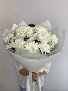 Основная фотография от вендора