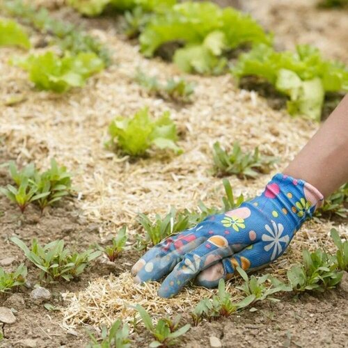 Сосновые опилки 50 л