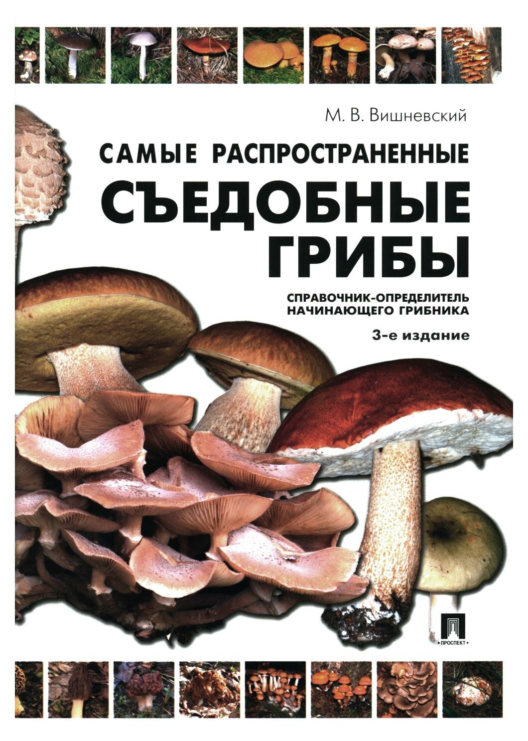 Самые распространенные съедобные грибы. Справочник-определитель начинающего грибника - фото №1