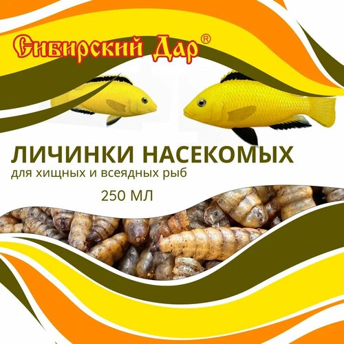 Корм для рыб 