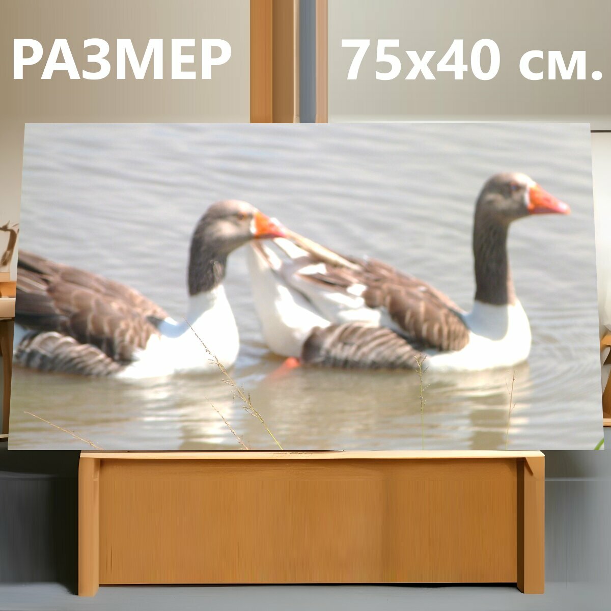 Картина на холсте "Гуси, природа, птицы" на подрамнике 75х40 см. для интерьера