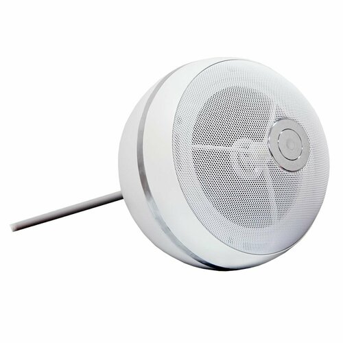 Громкоговоритель подвесной потолочный SVS Audiotechnik BWS-603 479000₽