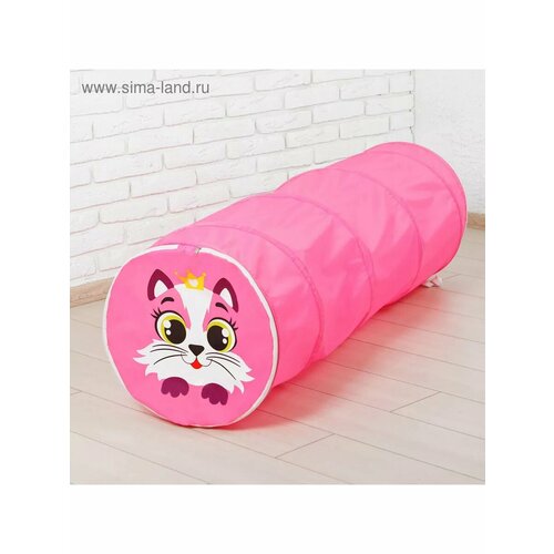 Игровой туннель для детей Кот цвет розовый 2418₽