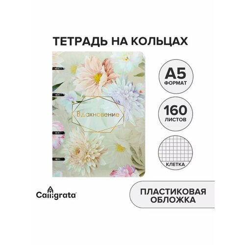 Тетрадь на кольцах 160 листов в клетку пластиковая обложка 672₽