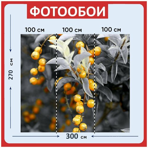 Фотообои Желтый ягоды открытый 300x270 см флизелиновыена стену 3970₽