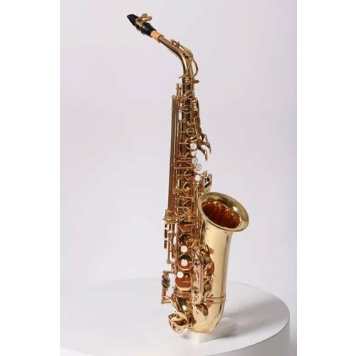 JBAS-260L альт-саксофон Eb материал Yellow brass лак рег механика доп клапаны F и верхний F кнопки перламутр облегченный футляр мундштук лигатура колпачок тряпочка гайтан Pierre Cesar 68556₽