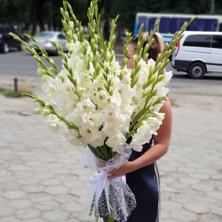 Премиум букет из белых гладиолусов премиум цветы шикарный красивый букет цветов гладиолус.