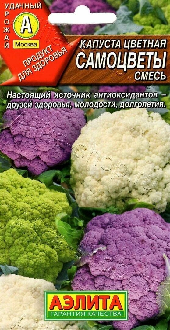 Капуста цветная Самоцветы (3 упаковки), смесь сортов