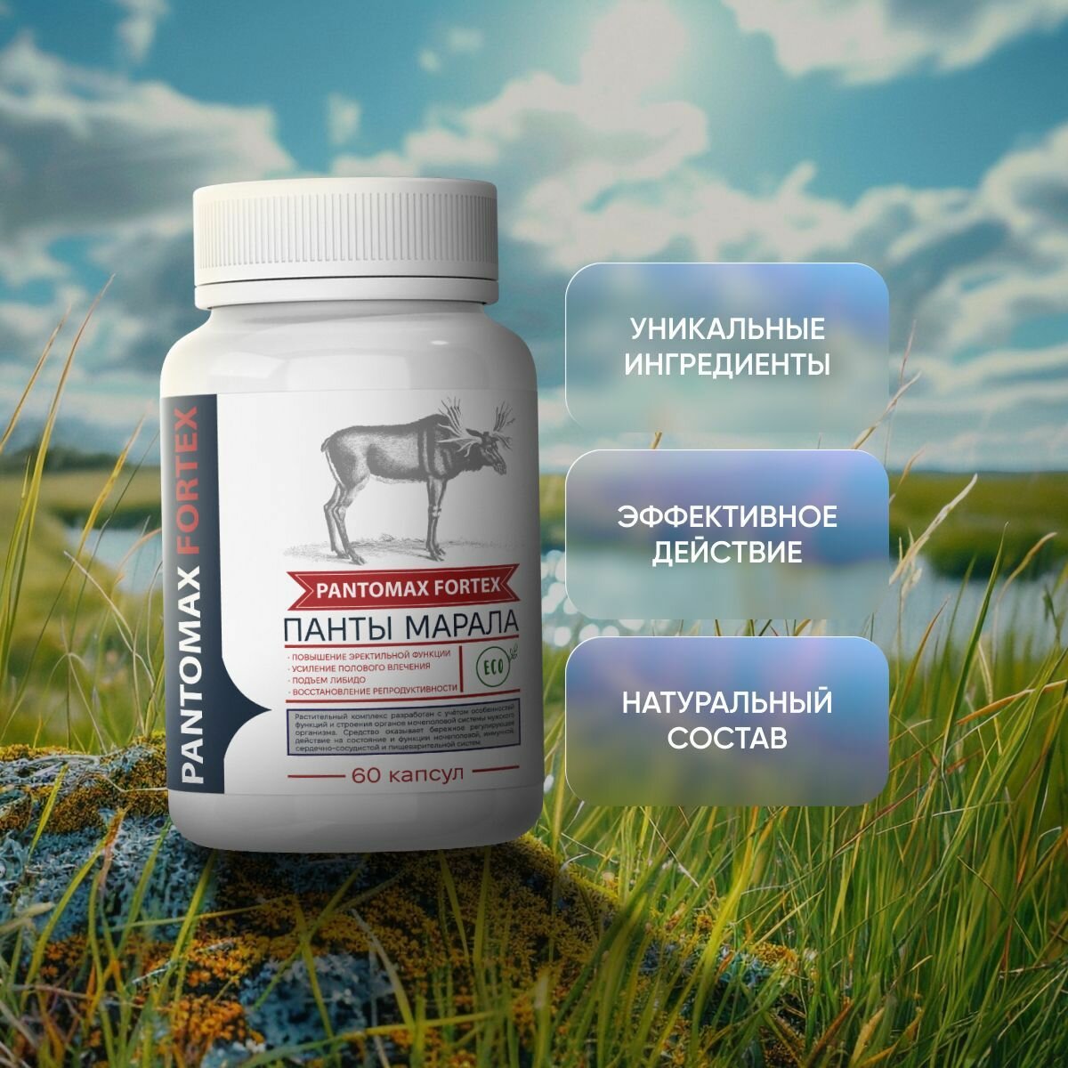 Препараты Для Мочеполовой Системы Мужчин Средство для потенции "Pantomax Fortex", банка 60 капсул / Пантомакс фортекс, пищевая добавка