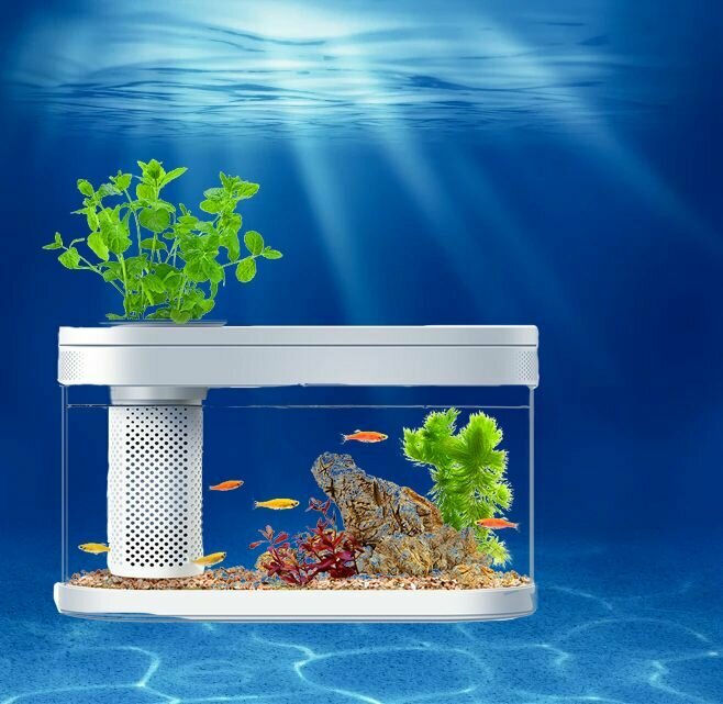 Картинки Автокормушка +Wifi для рыб Xiaomi Descriptive Geometry Smart Feeding Set