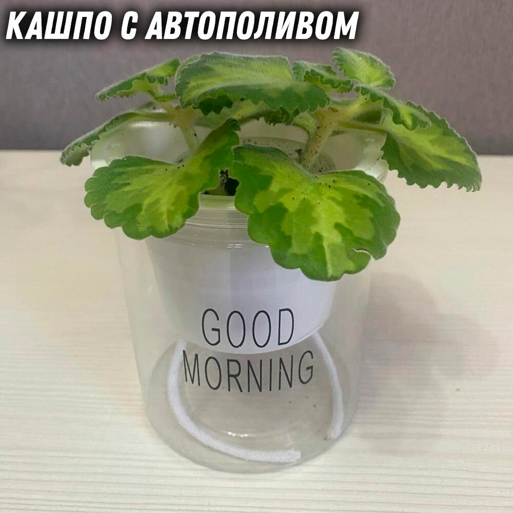 Кашпо с автополивом 2 шт.