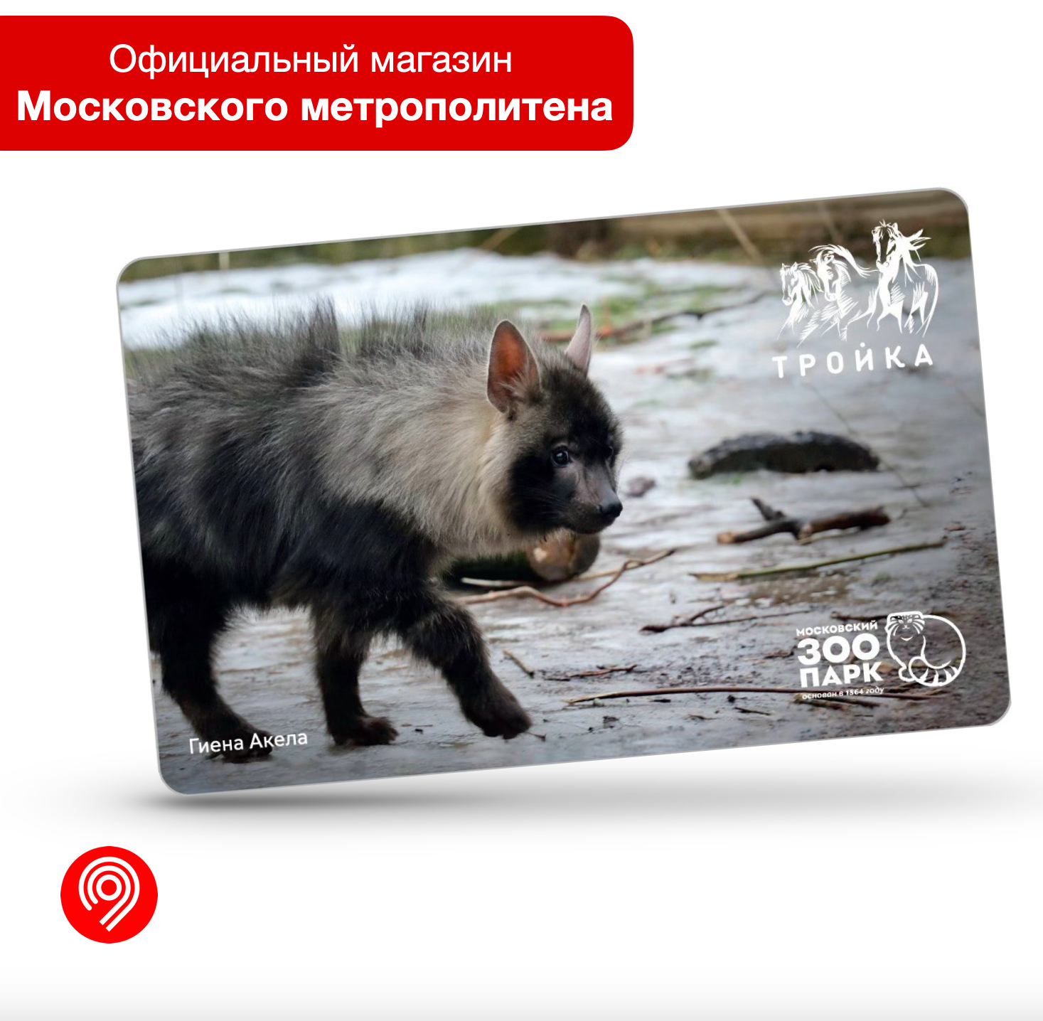 Карта "Тройка" Московский зоопарк - Гиена Акела (3), Московский транспорт