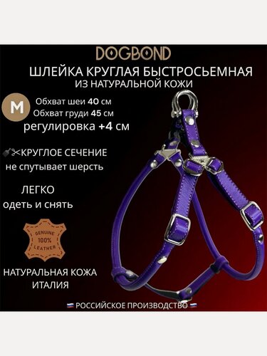 Изображение товара Шлейка Dogbond для шпица круглая из кожи быстросъемная