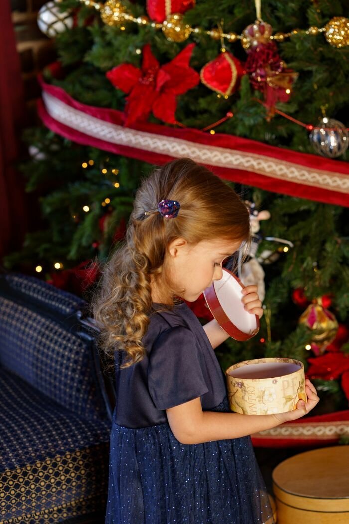 Заколка малая Андерсен Жар-птица — фото 1