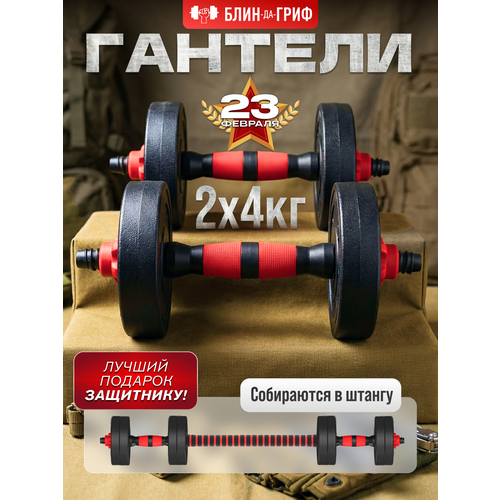 Гантели разборные Атлант Гантели 4кг-2шт с грифом , общий вес 8 кг