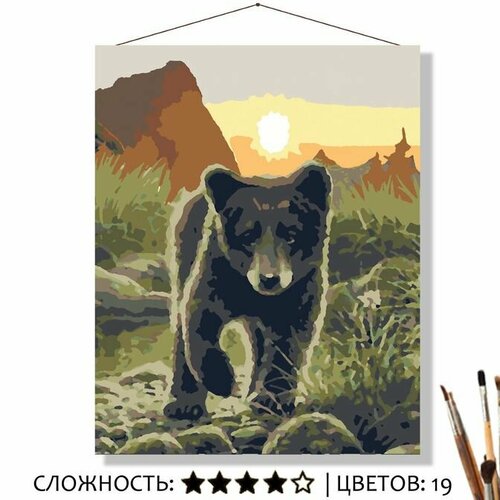 Картина по номерам на холсте 50х40 Медвежонок