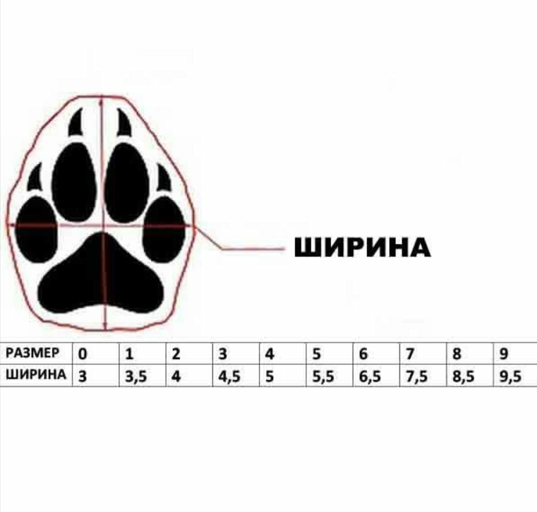 Теплые зимние ботинки для собак Dogboots Winter №6, XL, черные - фотография № 5