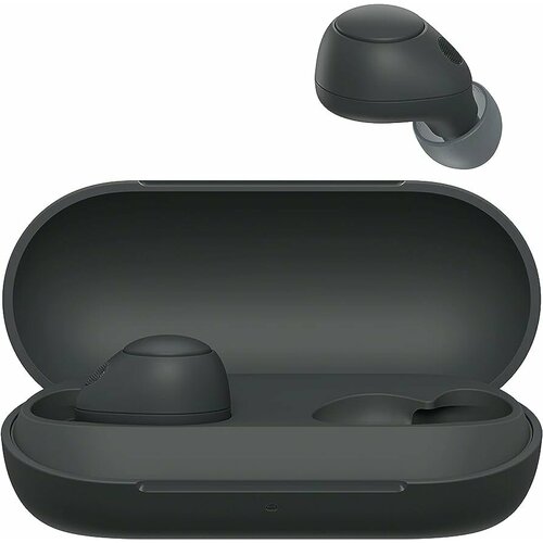 Наушники-вкладыши Sony WF-C700N True Wireless с активным шумоподавлением черные 1020000₽
