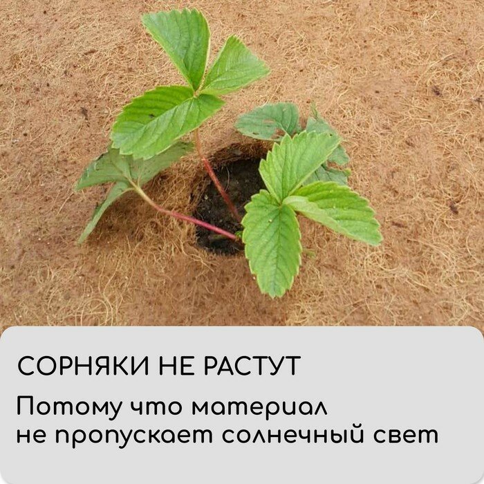 Мульчаграм Круг приствольный, d = 0,9 м, из кокосового полотна, набор 5 шт, «Мульчаграм»