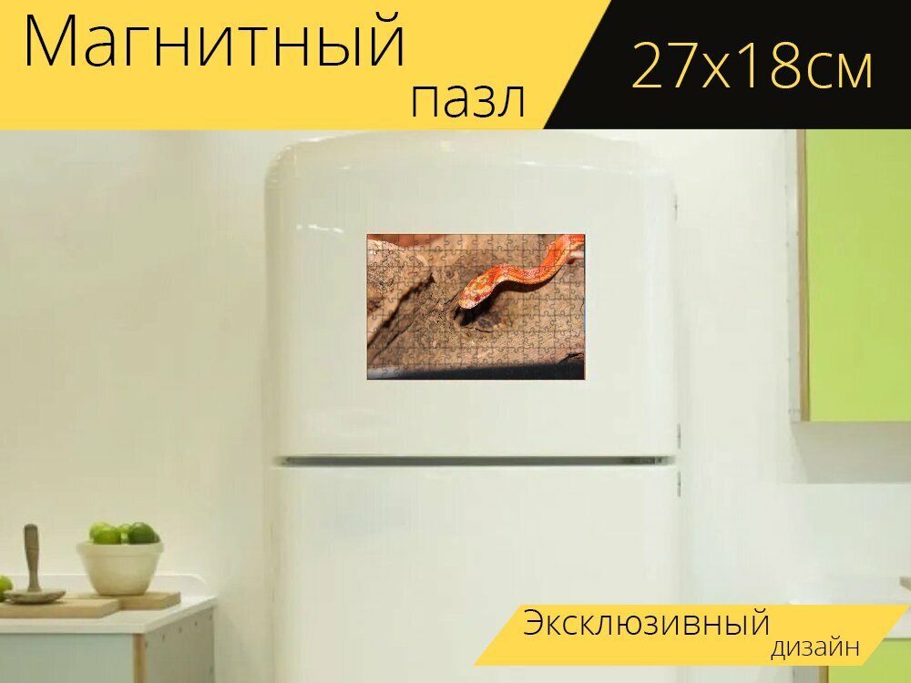 Магнитный пазл "Кукурузная змея, линия, змеи" на холодильник 27 x 18 см.