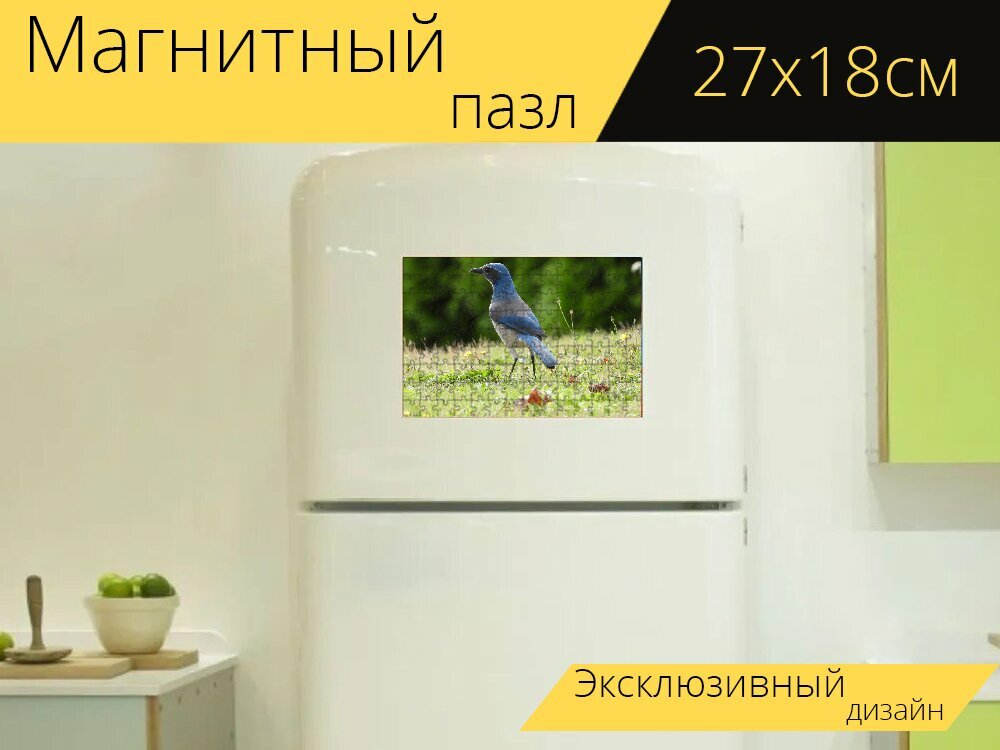 Магнитный пазл "Скраб сойка, птица, животное" на холодильник 27 x 18 см.