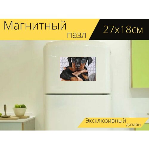 Магнитный пазл Собака, доберман, домашний питомец на холодильник 27 x 18 см. магнитный пазл доберман собака домашний питомец на холодильник 27 x 18 см