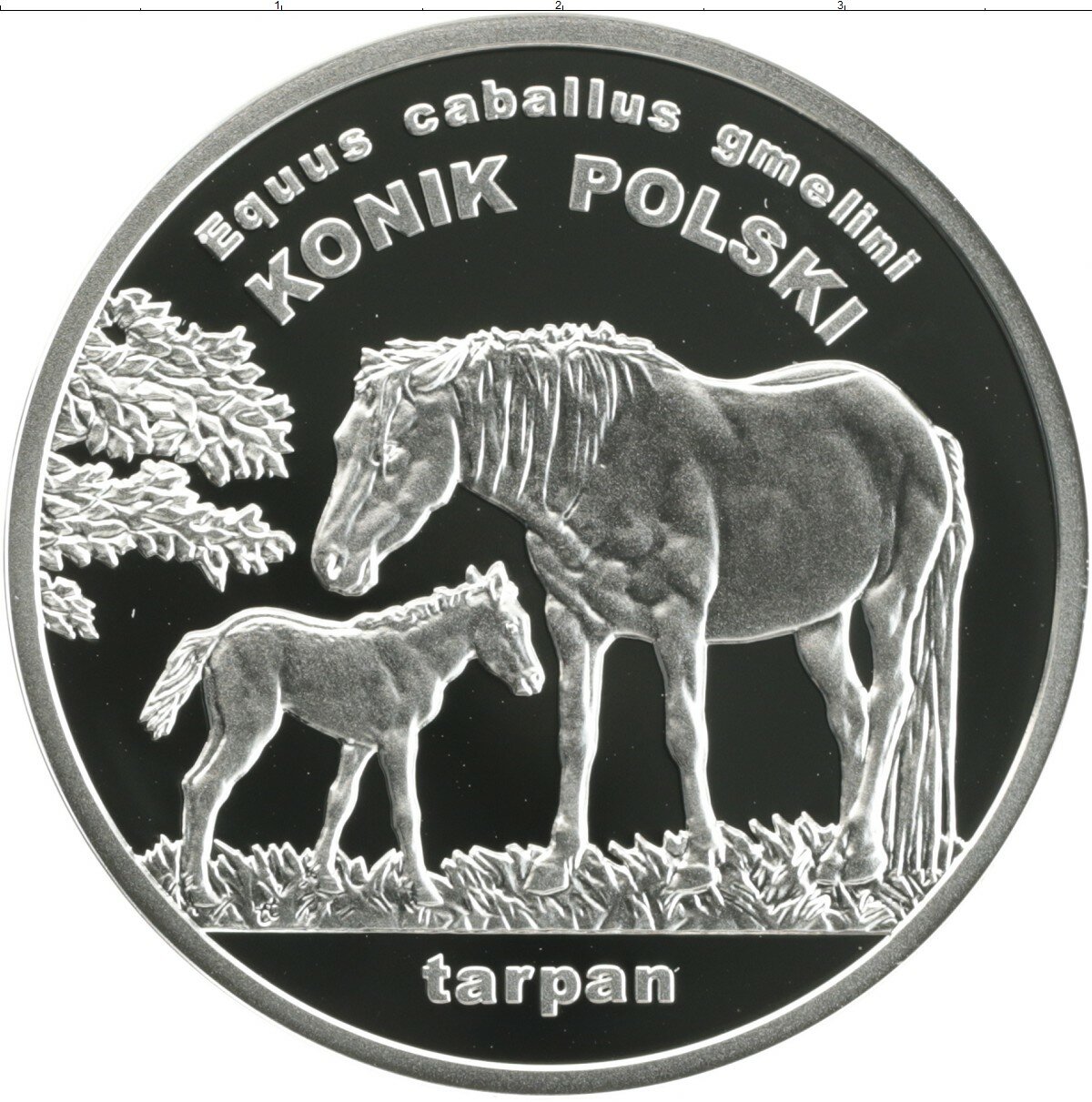 Клуб Нумизмат Монета 20 злотых Польши 2014 года Серебро Тарпан