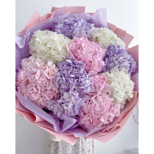 фото Букет из 9 гортензий колумбия яркий микс в подарочной упаковке flowersgo