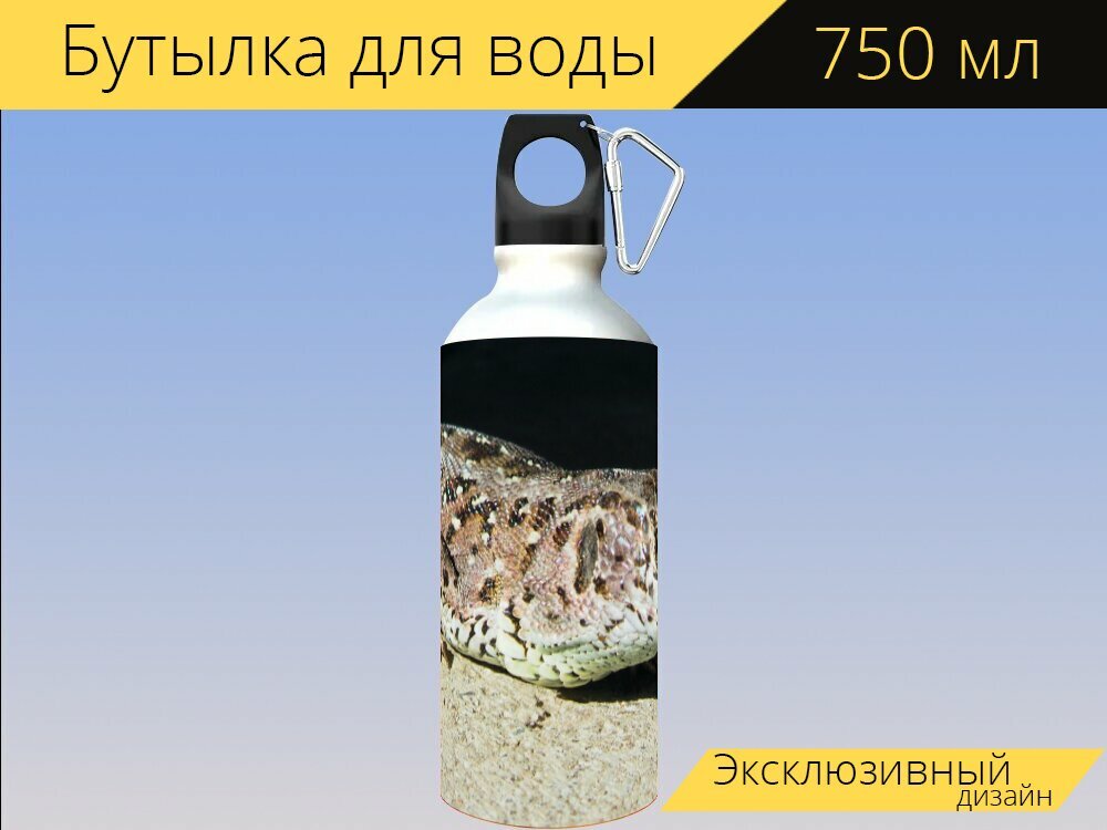 Бутылка фляга для воды "Ящерица, песчаная ящерица, рептилия" 750 мл. с карабином и принтом