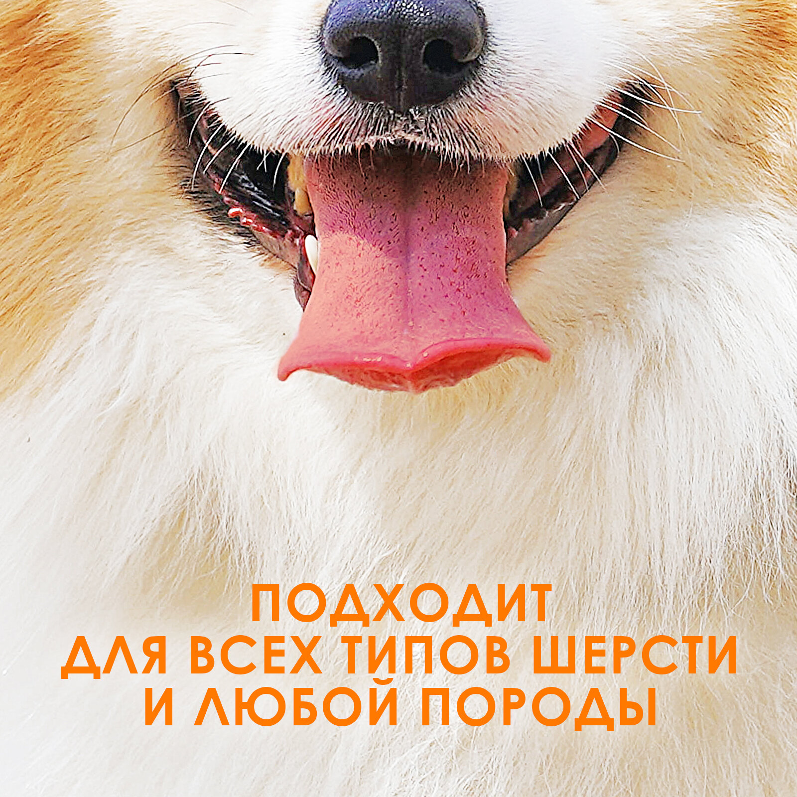 Шампунь для собак и кошек / ZOORIK / Зурик / антибактериальный 1000 мл - фотография № 5