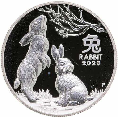 Австралия 1 доллар 2023 «Лунный календарь - год Кролика, два кролика»