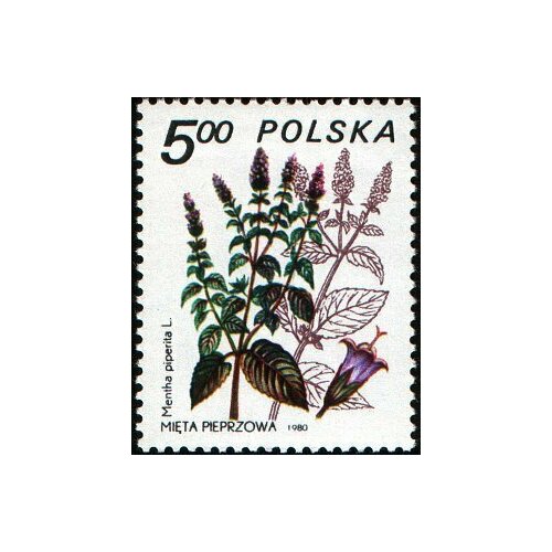 (1980-046) Марка Польша Мята перечная Лекарственное растение III O