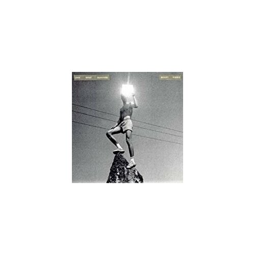 Компакт-Диски, Warp Records, MOUNT KIMBIE - Love What Survives (CD) платье archy