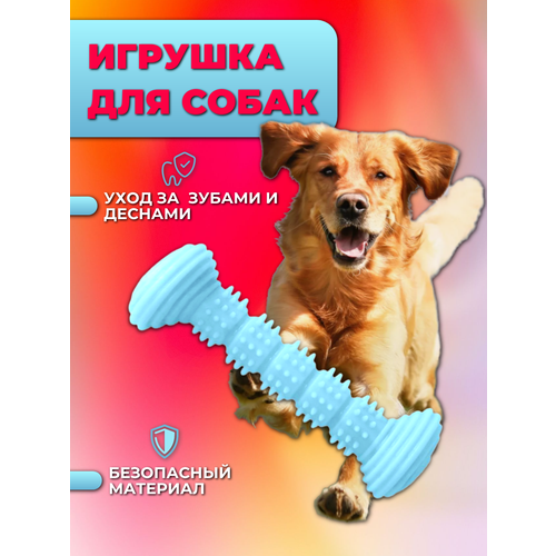 Игрушка грызунок для собак, жевательная игрушка синяя, Maxintro
