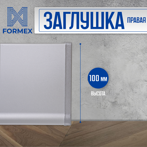 Заглушка правая, алюминиевая для плинтуса FORMEX H100, 1 шт, Анодированное серебро (матовый)